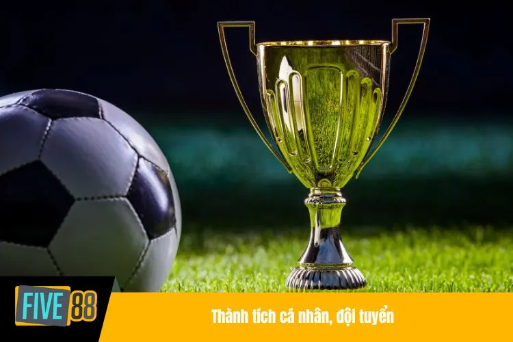 Thành tích cá nhân, đội tuyển