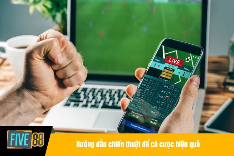 Hướng dẫn chiến thuật để cá cược hiệu quả