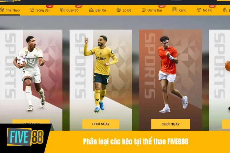 Phân loại các kèo tại thể thao FIVE888