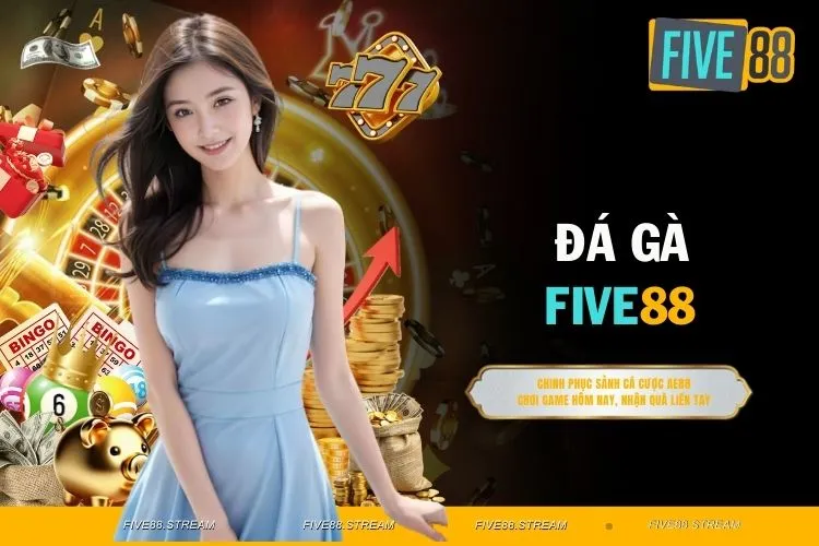 Đá Gà FIVE88 - Cá Cược Trực Tiếp Từ Trường Gà Quốc Tế